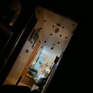 Meet your Posher, Lydia